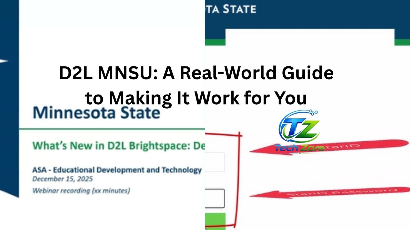d2l mnsu